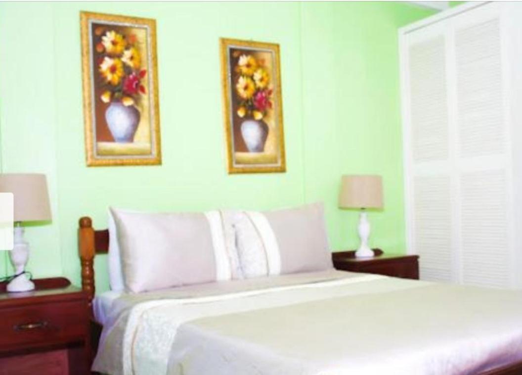 St. George's Silver View Apartments מראה חיצוני תמונה
