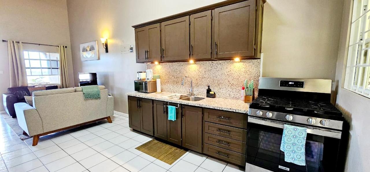 St. George's Silver View Apartments מראה חיצוני תמונה